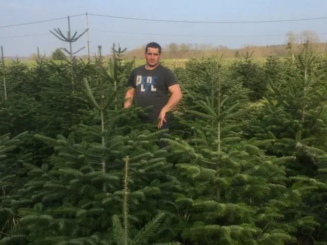 Petitjean Marc-Antoine vendeur de sapin dans le Jura